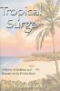 Tropical Surge: A History of Ambition and Disaster on the Florida Shore