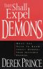They Shall Expel Demons: What You Need to Know about Demonsyour Invisible Enemies