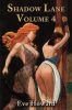 Shadow Lane Volume 4: The Chronicles of Random Point, Spanking, Sex, B