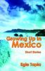Growing Up in Mexico: Short Stories