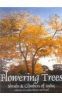 Flowering Trees- Shrubs And Climbers of India, Pakistan, Sri Lanka, Bhutan and Nepal