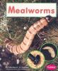 Mealworms (Watch It Grow)