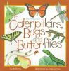 Caterpillars Bugs And Butterflie
