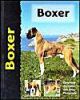 BOXER