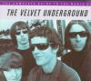The Complete Guide to the Music of the Velvet Underground (The Complete Guide to the Music Of...)