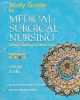 Supplement: Student Study Guide - Medical-Surgical Nursing: Critical Thinking in Client Care: Intern