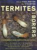 Termites and Borers: A Homeowner's Guide to Detection and Control