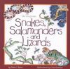 Snakes Salamanders And Lizards