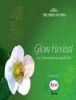 Glow herbal A to Z home remedi