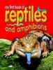 Reptiles and Amphibians