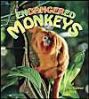 Endangered Monkeys (Earth's Endangered Animals)