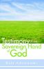 Testimony of the Sovereign Hand of God