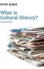 What Is Cultural History
