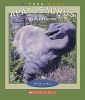Apatosaurus (True Books)