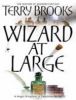 Wizard at large