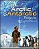 Amazing Arctic and Antarctic Projects You Can Build Yourself