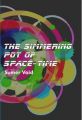 The Simmering Pot of Space-Time: Book by Sumer Vaid