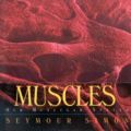 Muscles: Our Muscular System: Book by Seymour Simon