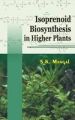 Isoprenoid Biosynthesis in Higher Plants: Book by Mangal, S K ed