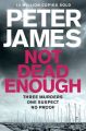 Not Dead Enough: Book by Peter James