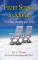 From Stress to Sanity: Book by Joy L. Watson