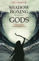 Shadow Boxing with the Gods: Book by Vijay N. Shankar