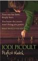 PERFECT MATCH: Book by Jodi Picoult