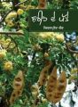 Sharhin De Patte: Book by Kiranpreet Kaur