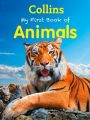 Collins - My First Book of Animals (English) (Paperback): Book by Collins Children Books