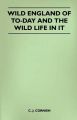 Wild England of To-Day and the Wild Life in it: Book by C. J. Cornish