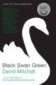 Black Swan Green: Book by David Mitchell