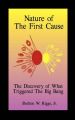 Nature of the First Cause: The Discovery of What Triggered the Big Bang: Book by Shelton W Riggs, Jr.