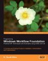 Programming Windows Workflow Foundation (English) 1st Edition: Book by K. Scott Allen
