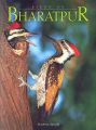 Birds of Bharatpur: Book by Rajpal Singh