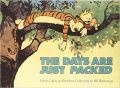 Homicidal Psycho Jungle Cat: Calvin & Hobbes Series: Book Twelve (English) (Paperback): Book by Bill Watterson