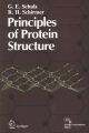 Principles Of Protein Structure (English) 1st Edition (Paperback): Book by G. E. Schulz