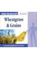 Improve Your Health With Wheatgrass & Grains English(PB): Book by Dr. Rajeev Sharma