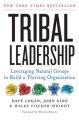 Tribal Leadership: Leveraging Natural Groups to Build a Thriving Organization: Book by Dave Logan , John King