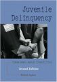 Juvenile Delinquency: Causes and Control (English) 2nd Revised edition Edition (Paperback): Book by Robert Agnew