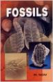 Fossils (English) 1st Edition (Hardcover): Book by P. R. Yadav
