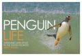 Penguin Life: Surviving with Style in the South Atlantic: Book by Andy Rouse