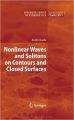 Nonlinear Waves and Solitons on Contours and Closed Surfaces: Book by Andrei Ludu 