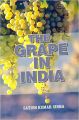 The Grape In India: Book by Satish Kumar Sinha