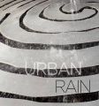 Urban Rain: Jackie Brookner: Book by Barbara Goldstein