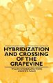 Hybridization and Crossing of the Grapevine: Book by William Chamberlain Strong