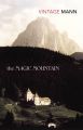 The Magic Mountain: Book by Thomas Mann