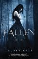 Fallen: Book by Lauren Kate