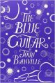 The Blue Guitar: From One of the World's Greatest Writers Comes a Story of Theft and Adultery: Book by John Banville