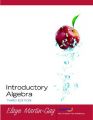 Introductory Algebra: Book by Elayn Martin-Gay