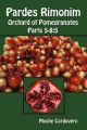 Pardes Rimonim - Orchard of Pomegranates - Parts 5-8: 5: Book by Moshe Cordovero